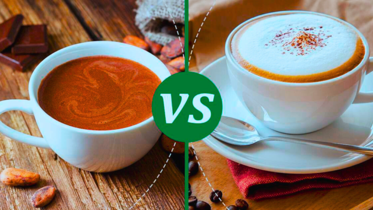 What Is the Difference Between Mocha and Hot Chocolate?